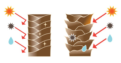 A Guide to Understanding and Controlling Frizz