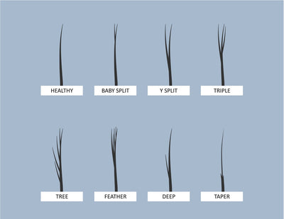 Let's Talk About Split Ends